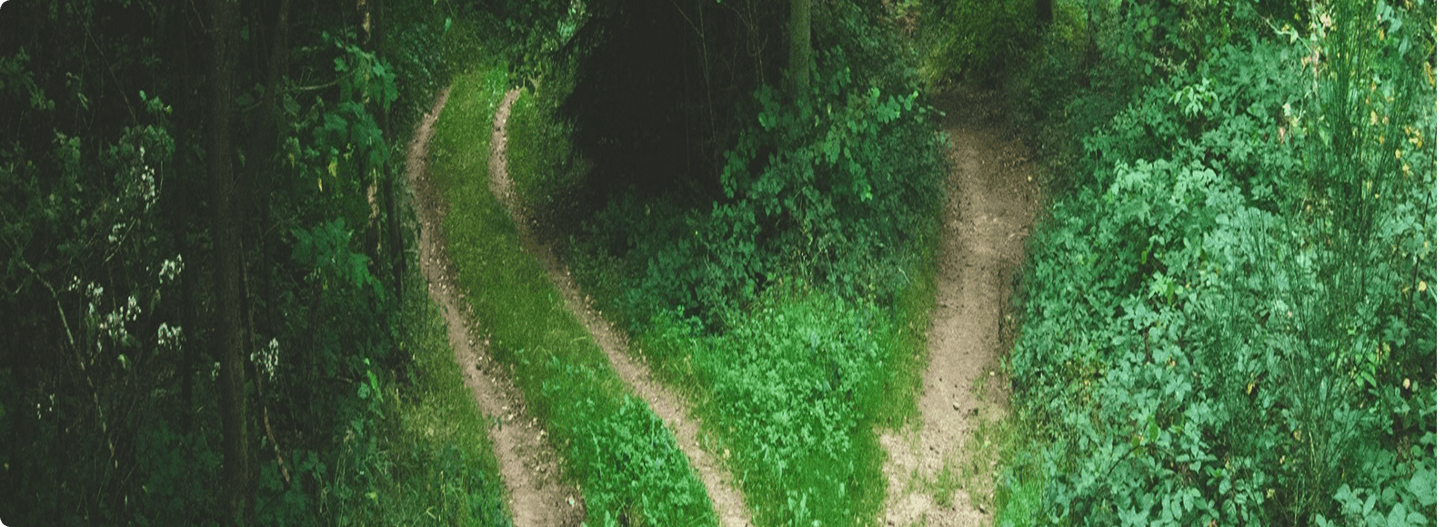Inconsistent User Experiences