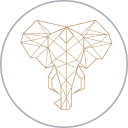 Ivory Ace Structure