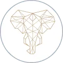 Ivory Ace Structure
